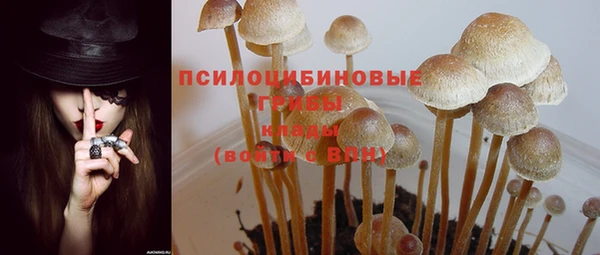 каннабис Медвежьегорск