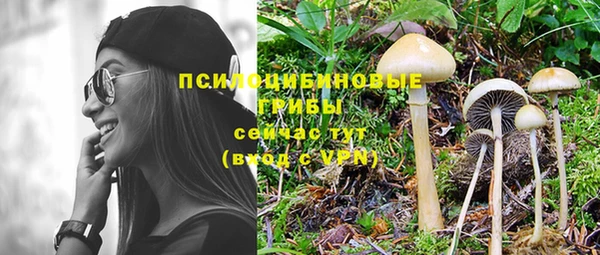 героин Михайлов